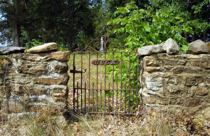 Buck Cemetery near Waterlick, Warren County