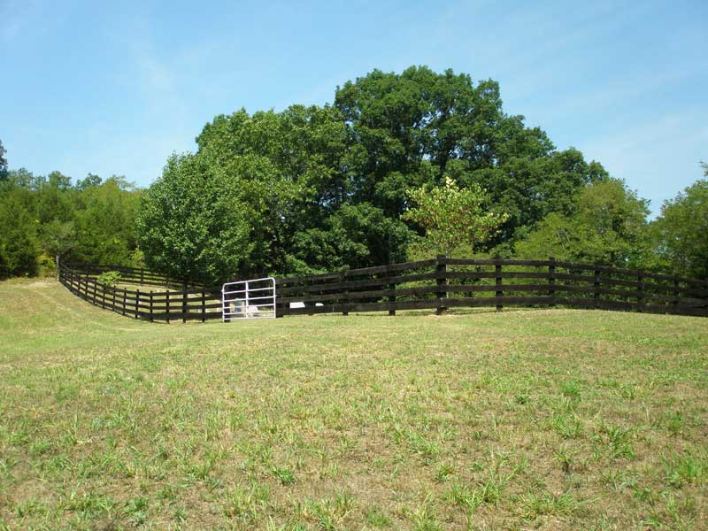 Burner Cemetery, Fort Valley