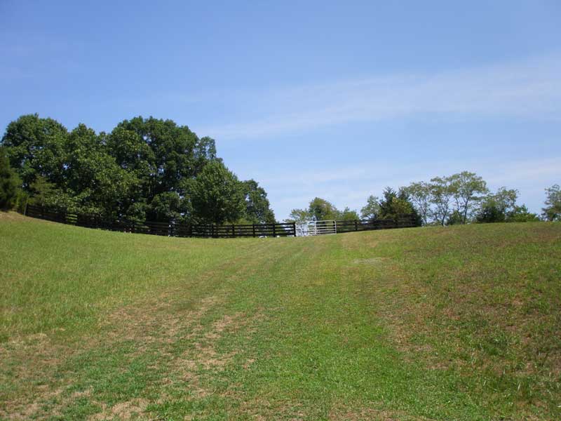 Burner Cemetery, Fort Valley