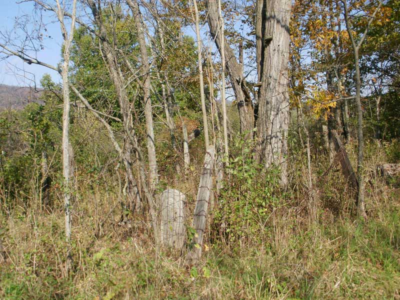 Craig Cemetery looking North at Alonzaville