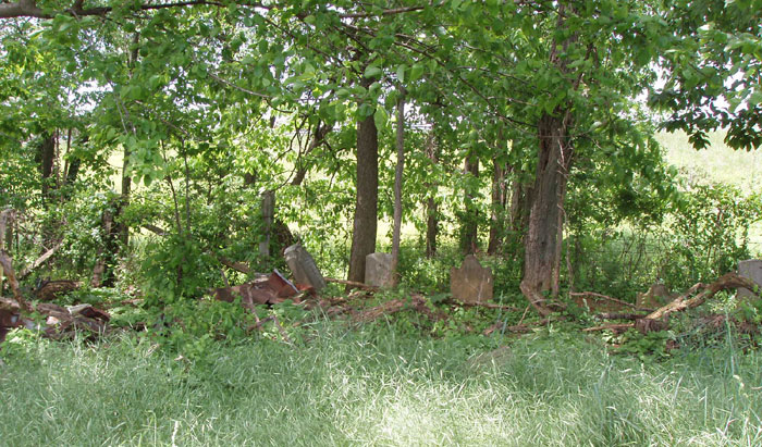 Haun Bushong Cemetery