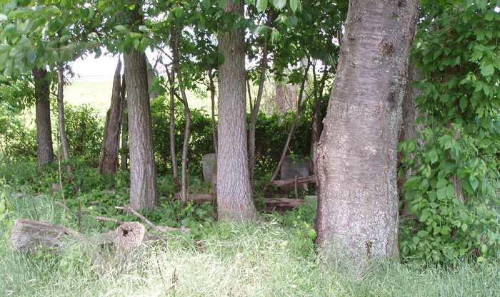 Haun Bushong Cemetery