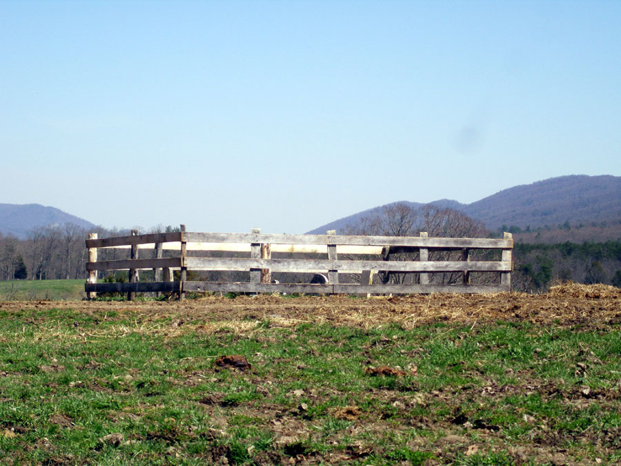 henry Cullers Cemetery Fort Valley