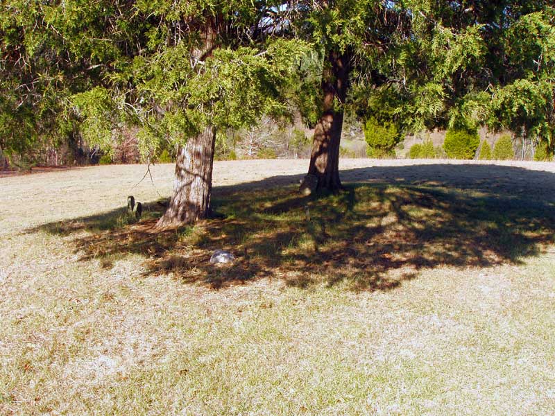 Henry McInturff Cemetery Fort Valley