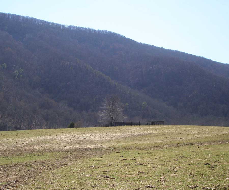 Hockman Cemetery at Garndview farm