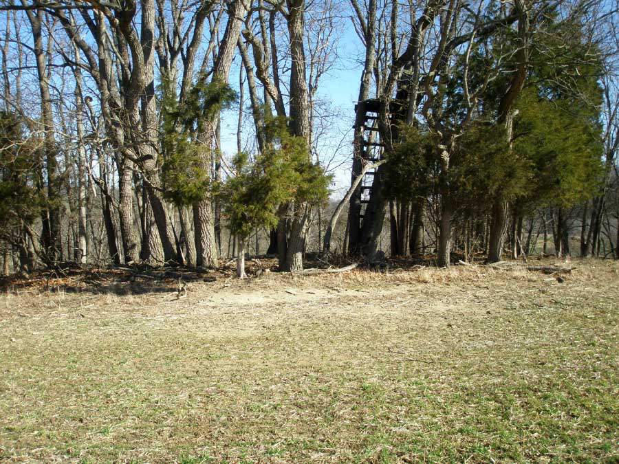 Hockman Cemetery Woodstock