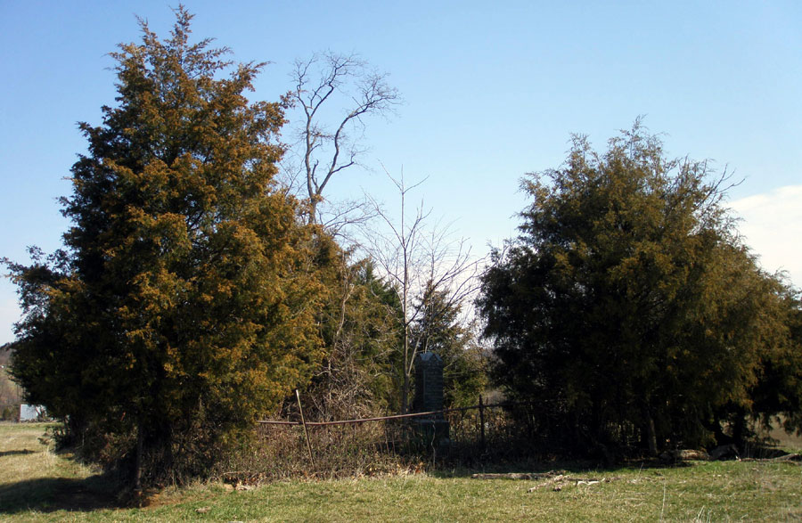 John Hockman Cemetery Mt Hebron Road