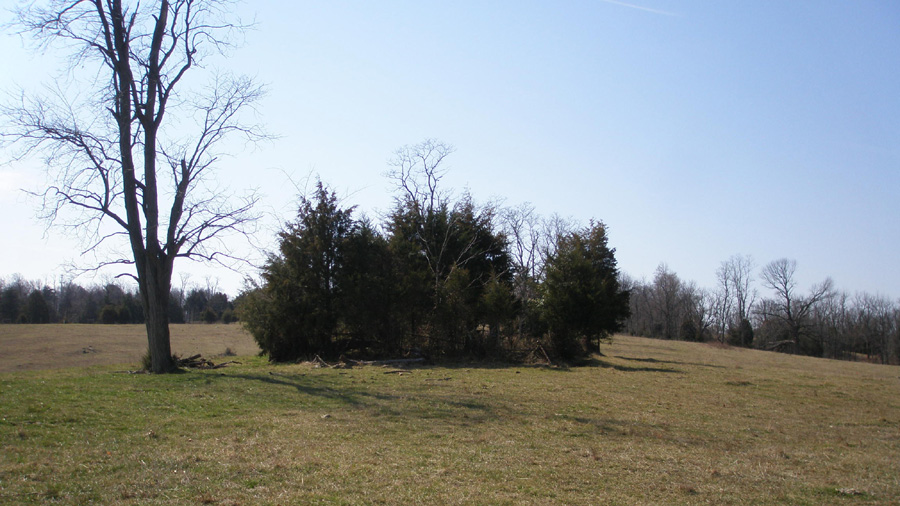 John Hockman Cemetery Mt Hebron Road