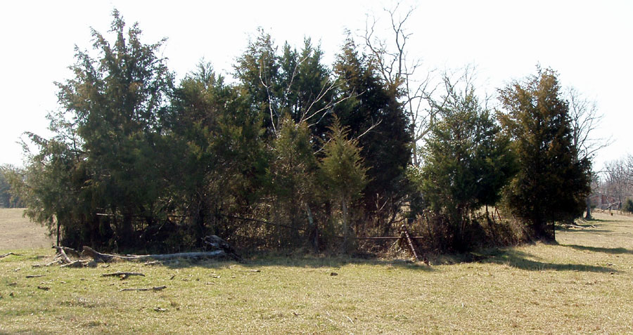 John Hockman Cemetery on Mt. Hebron road