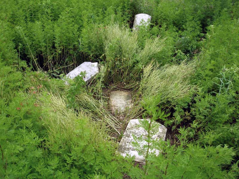 Samuel Kern Cemetery off Deer Rapids Road on Island Farm