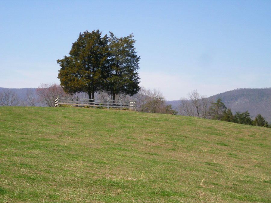 Levi Cullers Cemetery Fort Valley