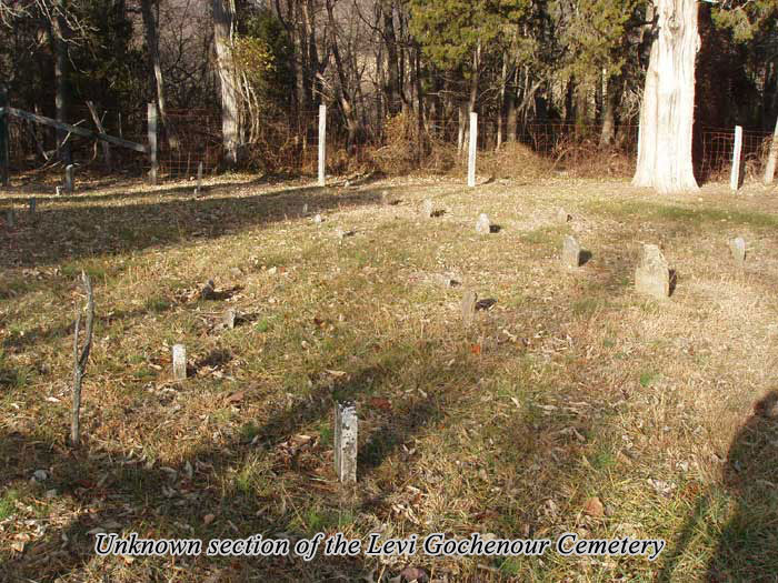 Unknown Section Levi Gochenour Cemetery