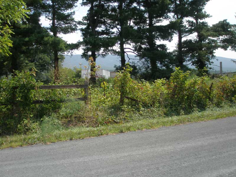 Myers Woods Cemetery