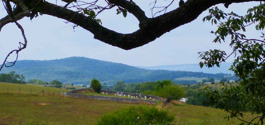 Painter Cemetery near Edinburg