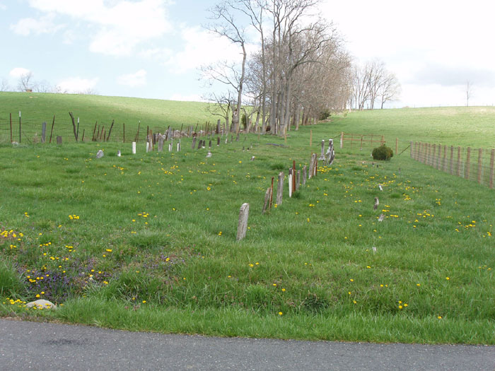 Ruby Cemetery near Hamburg