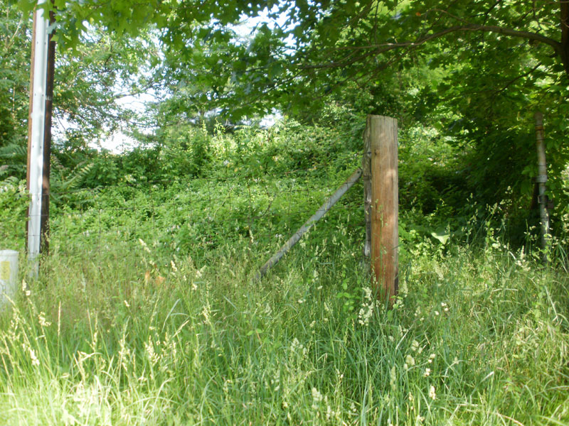 Samuel Willis Cemetery near Lebanon Church