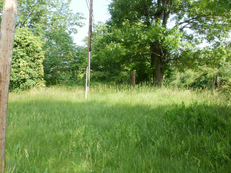 Samuel Willis Cemetery near Lebanon CHurch