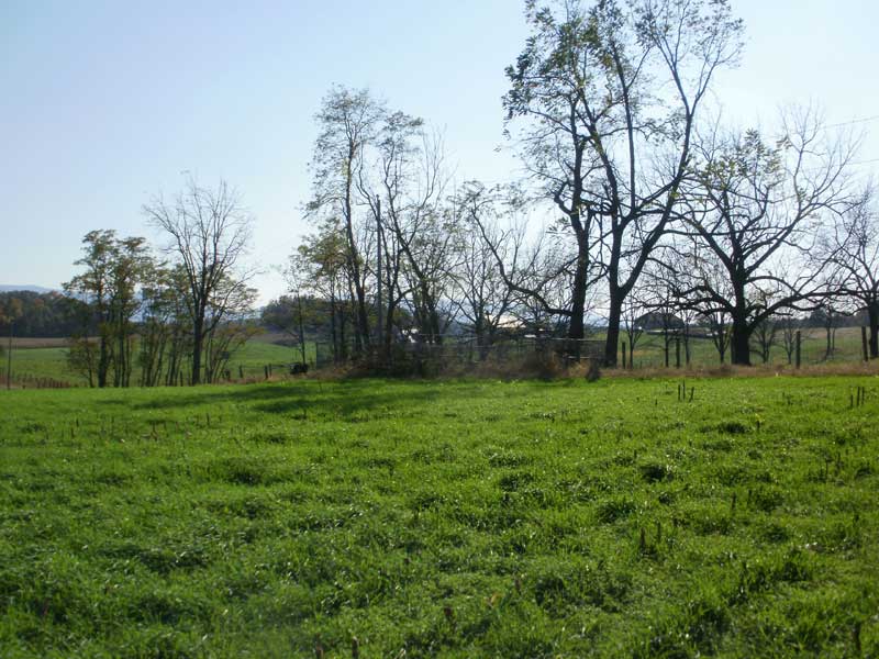 Schmucker Cemetery on Patmos road