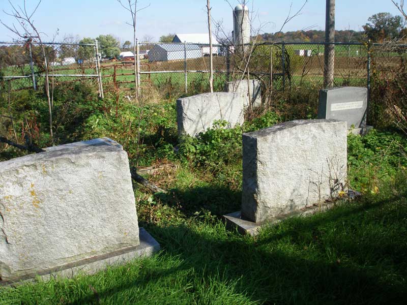 inside the Schmucker cemetery on Patmos road