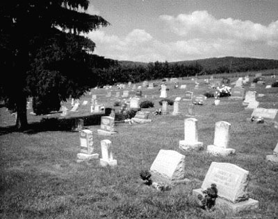 View from the rear of the cemetery