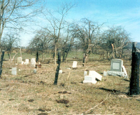 Holman's Creek Orchard Cemetery, as it appeared in 1987