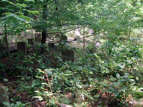 Minnick Miller Barb Cemetery, Millertown, VA