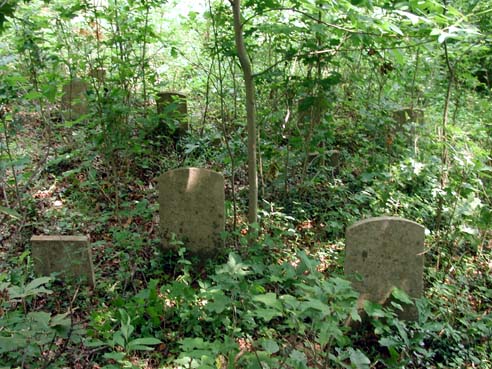 Minnick Miller Barb Cemetery, Millertown, VA